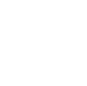 stat icon