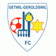 team logo